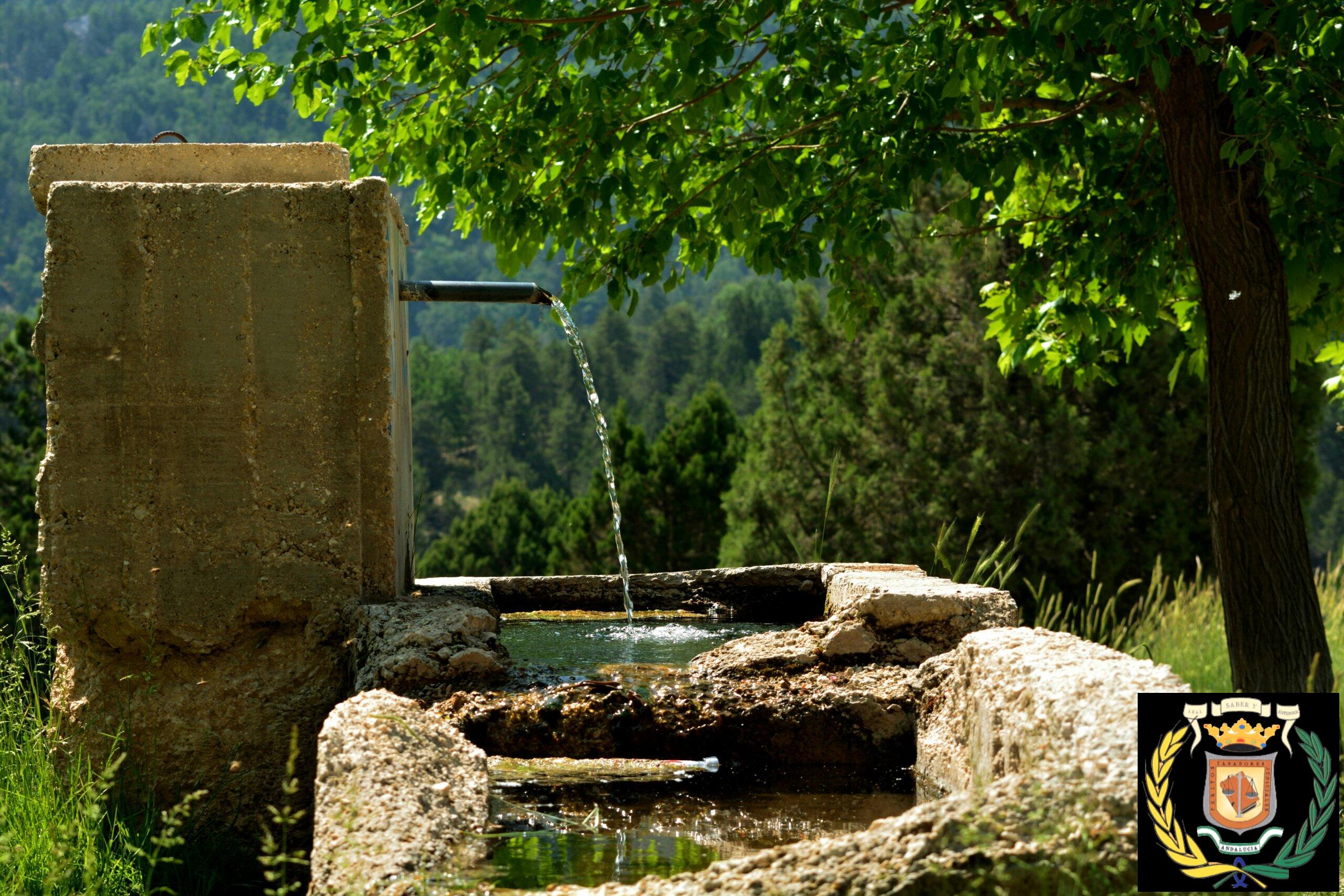 Rustic spring water fountain in Elmalı, Antalya, surrounded by lush greenery and serene forest.